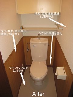 After画像